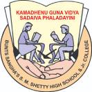 Dr. Roshan .F. Patel Ryewood International School (2)